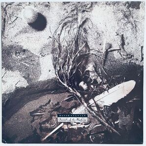 DAVID SYLVIAN - SECRETS OF THE BEEHIVE