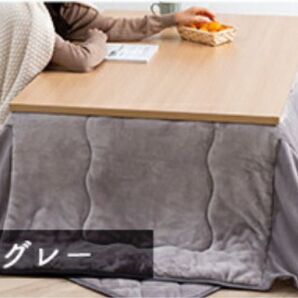 省スペースコタツ布団 無地 165×195 長方形用