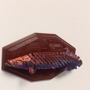 アマゾン ピラルク 3Dウォールアート 25cm スタンド付き