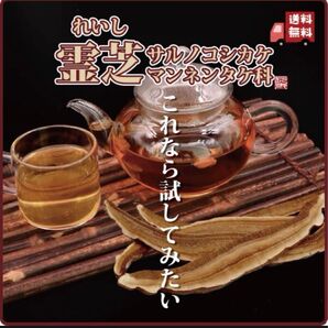 長白山赤霊芝(ジャスミン茶やほうじ茶で割ると飲みやすくて美味しいです!)