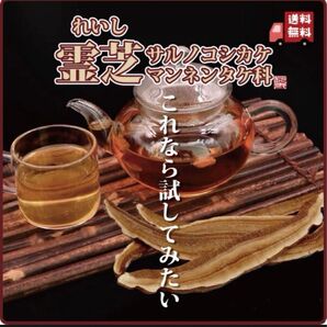 長白山赤霊芝(ジャスミン茶と割れば飲みやすく美味しい!カフェで人気のドリンクに!)