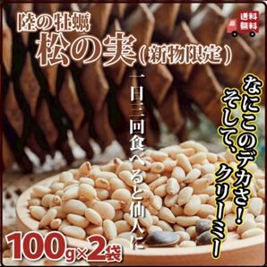 待望の新物松の実!各種検査合格証あります。2袋同封してお一つ分の運賃分割引きで。