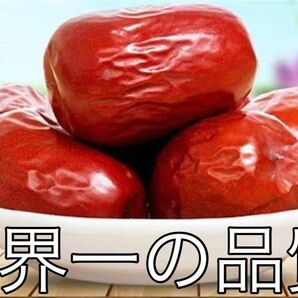 特大熟成なつめ 世界一の品質。年に一度の感謝セール価格で!