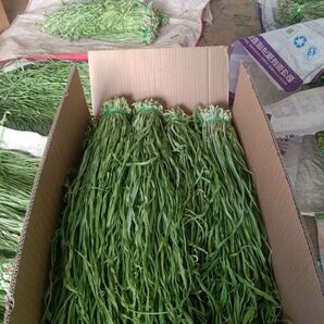 新入荷山くらげ 各種衛生検査、残留農薬検査合格証有ります。安心、安全に!