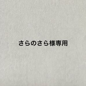 リクエスト出品(さらのさら様専用)