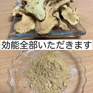 漢方の生姜はこれ。パワーが違います冷えに負けないガランガル(タイ生姜)パウダー