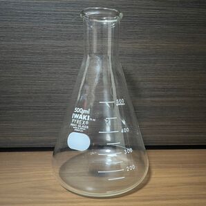 三角フラスコ IWAKI パイレックス 花瓶 ハリオ 三角フラスコ ヴィンテージ 昭和レトロ PYREX HARIO 花器