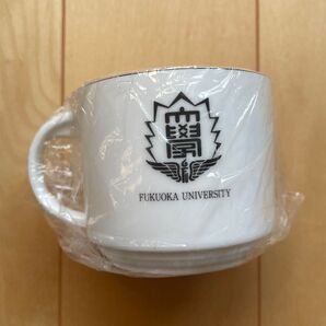 非売品 HOYA ホーヤ 新品 福岡大学 マグカップ コップ 白 記念品 福大 卒業記念