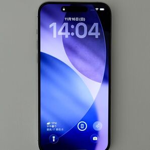 iPhone 14 Pro Max 256 GB シルバー SIMフリー