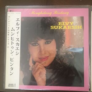 Elvy sukaeih エルフィン・スカエシ　LP 2枚セット　ダンドゥット　インドネシア