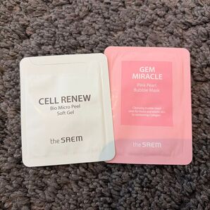 the saem サンプル