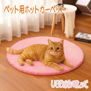 ペット 冬 あったか ホットカーペット USB丸型 洗える ペット用ヒーター 暖房器具 電気毛布 保温パッド 電熱 円