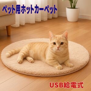 ペット 冬 あったか ホットカーペット USB丸型 洗える ペット用ヒーター 暖房器具 電気毛布 保温パッド 電熱 円