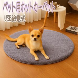 ペット 冬 あったか ホットカーペット USB丸型 洗える ペット用ヒーター 暖房器具 電気毛布 保温パッド 電熱 円
