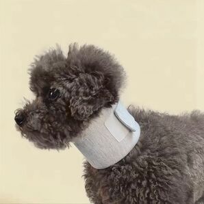 犬用ネックサポーター 手術後治療 エリザベスカラー S