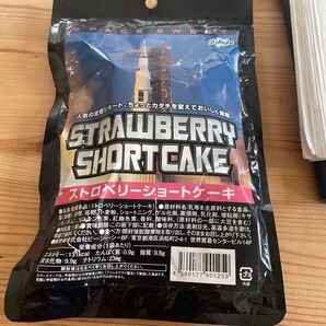スペーススイーツ ストロベリーショートケーキ 未開封