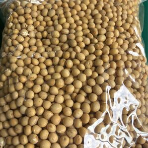 令和6年度産 農薬不使用 大豆 1kg ほったらかし農法