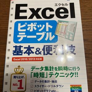 Excelピボットテーブル 本