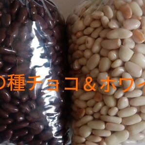 訳あり 柿の種チョコ&ホワイト500g&×2 大人気 アウトレット 直売