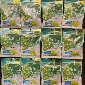 岡山マスカットグミ ラブレ乳酸菌入り 40g×15袋