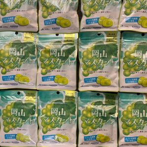 岡山マスカットグミ ラブレ乳酸菌入り 40g×15袋