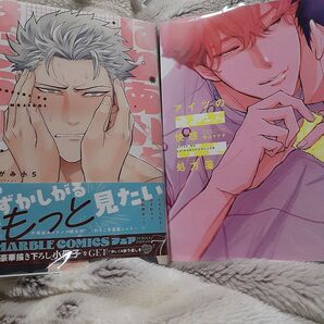 お値下げ交渉、単品交渉以外でしたら気後れせず質問可能!商業 BL 新刊含 はりあいとはじらい