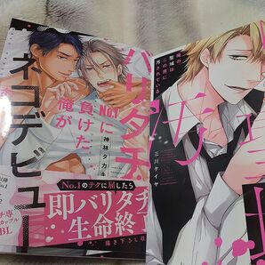 お値下げ交渉、単品交渉以外でしたら気後れせず質問可能!商業 BL 新刊含 バリタチNo.1に負けた俺がネコデビューするまで