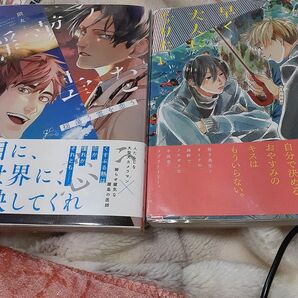 お値下げ交渉、単品交渉以外でしたら気後れせず質問可能!商業 BL 新刊含 揺蕩う雲を恋う