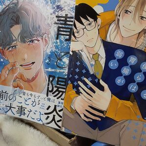 お値下げ交渉、単品交渉以外でしたら気後れせず質問可能!商業 BL 新刊含 青と陽炎 ③