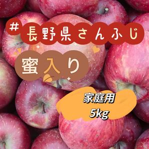 長野県りんご 5kg サンふじ 家庭用