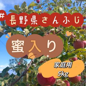 長野県りんご 5kg さんふじ 家庭用
