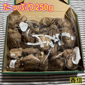 大分県産原木乾燥椎茸