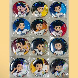 ハンターハンター 12球団 プロ野球 ホログラム 缶バッジ ゴン コンプセット