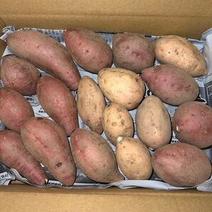 222.安納芋 紅&こがね 1.8kg 訳あり