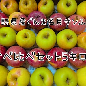 長野県産 ぐんま名月 サンふじ