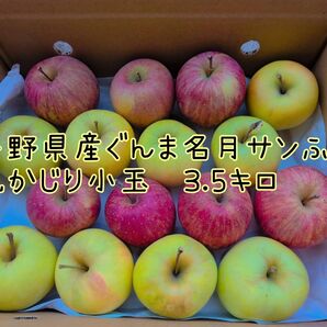 長野県産ぐんま名月サンふじ小玉