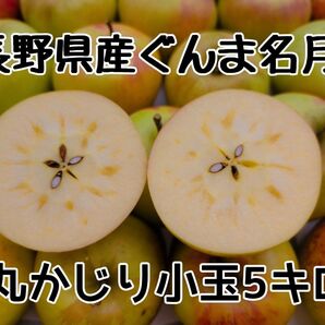 長野県産ぐんま名月小玉5キロ