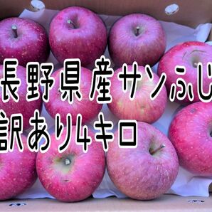長野県産サンふじ訳あり4キロ