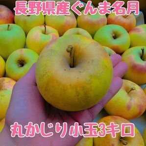 長野県産ぐんま名月小玉3キロ