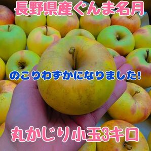 長野県産ぐんま名月小玉3キロ