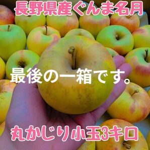 長野県産ぐんま名月小玉3キロ