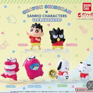 クレヨンしんちゃん×サンリオキャラクターズ フィギュアコレクション 全6種セット