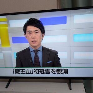 Panasonic 4K液晶テレビ TH-43GX750 2019年製