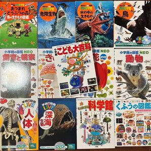 図鑑まとめ売り 講談社の動く図鑑MOVE 小学館の図鑑NEO 学研の図鑑LIVE