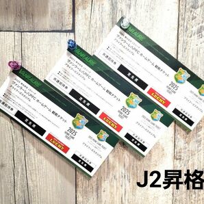 【J3】 ヴァンラーレ八戸 2025年 ホームゲームチケット 3枚