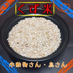 令和7年産 くず米 ~鳥のエサなどに~ 1kg