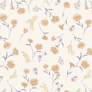 コレクション 2