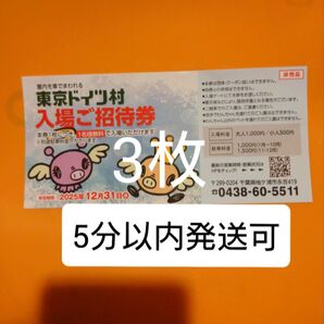 東京ドイツ村 入場ご招待券 チケット3枚 入園ご招待券 入園券 割引券 クーポン 無料券 無料チケット