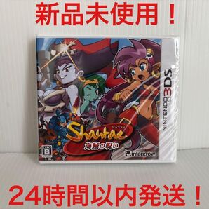 シャンティ 海賊の呪い 3DS
