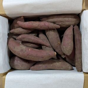 さつまいも シルクスイート